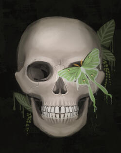 Skull With Moth