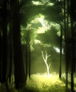 Tree Study Tree Study